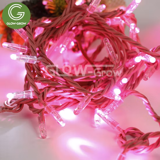 Luce per tende a LED natalizie personalizzate per esterni in fabbrica per matrimoni commerciali, eventi natalizi, casa, vacanze, decorazioni per ornamenti Navidad